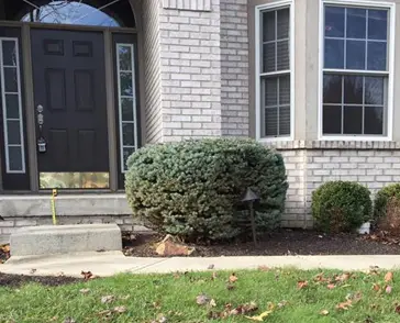 Walkway Sidewalk Leveling Indiana